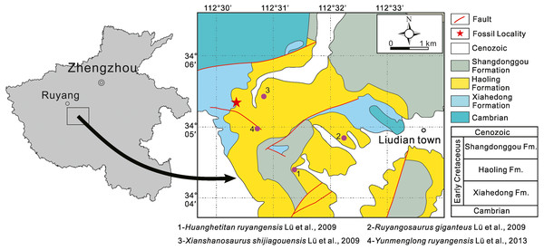 Geographical and geological maps showing the location of 41HIII-0016 and four sauropod species in the Lower Cretaceous Haoling Formation of Ruyang Basin, Henan Province, central China.