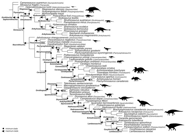 Specifier-based phylogeny of Ornithischia.