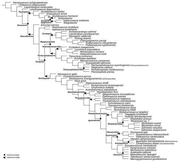 The phylogenetic nomenclature of ornithischian dinosaurs using the topology of Dieudonné et al. (2020: Figs. 1 and 2).
