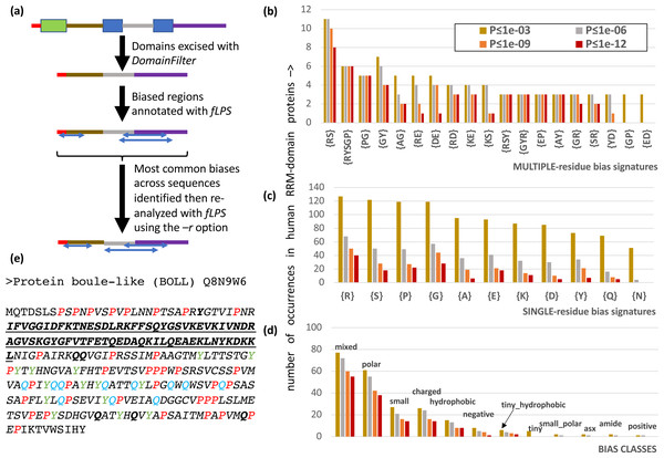 Analysis of RRM RNA-binding domain proteins in the human proteome.