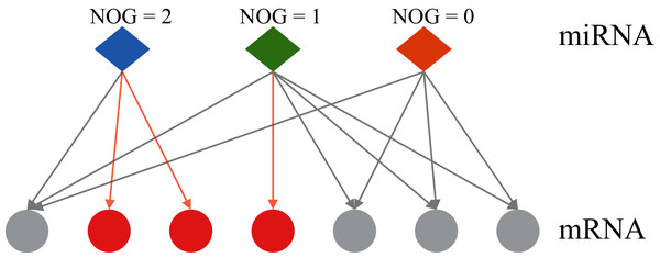 Two regulatory types of miRNAs in the human miRNA-mRNA network.