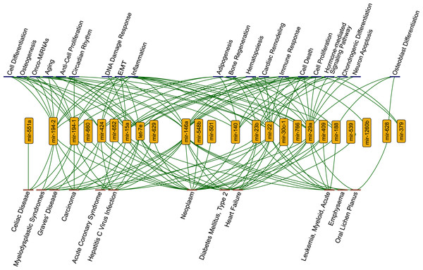 The functions (blue nodes, top) and diseases (red nodes, bottom) having enriched miRNAs (yellow nodes) that gained perturbation ability in presence of SARS-CoV-2 RNA.