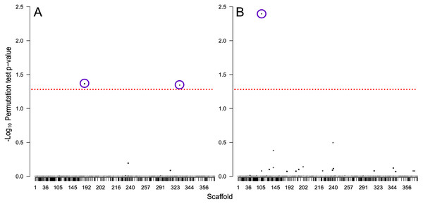 Manhattan plots showing −log10 permutation test p-values for each SNP based on testing for association with (A) total distance flown and (B) the total number of times flight was initiated.