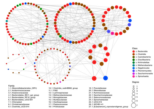 Network of possible interrelations between different classes and families of prokaryotic microorganisms in the ruminal community of the reindeer.