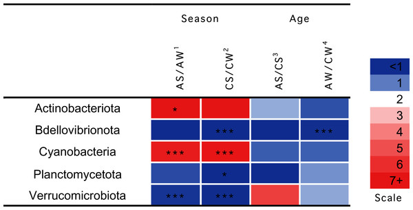 Significant season-and age-related differences between the treatments of reindeer in the composition of ruminal microbiota (phylum level), identified by sequencing of 16S rRNA amplicons.
