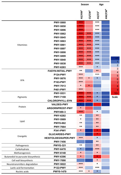 Significant season-and age-related differences between the treatments of reindeer in the metabolic pathways of ruminal microbiota identified by sequencing of 16S rRNA amplicons.