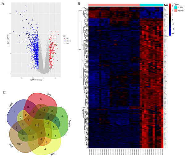 Statistics for the differentially expressed genes.