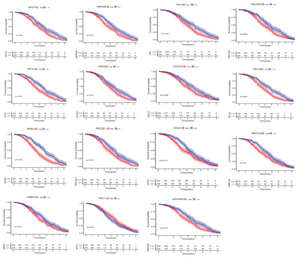 The Kaplan–Meier estimates for the overall survival (OS) of the 15 core hub genes in GSE31312 (p < 0.05).