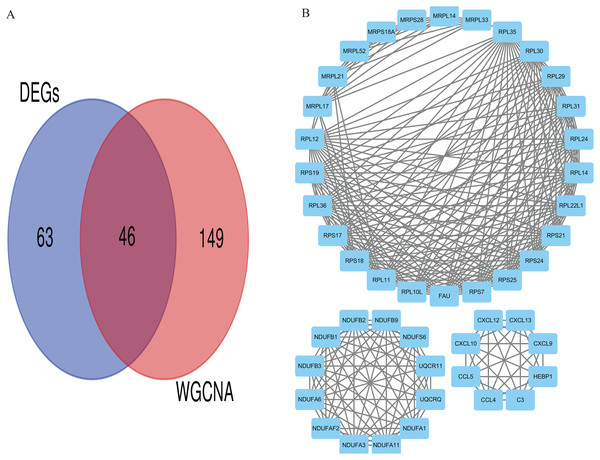 Differentially co-expressed hub genes.