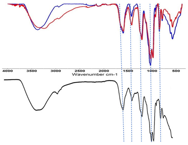 Fourier-transform infrared spectroscopy (FTIR) of ulvans.