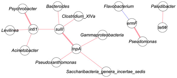 Network analysis of targeted genes with bacterial communities.