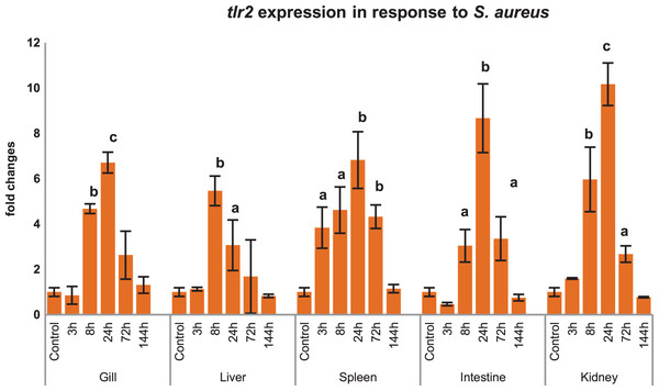 Modulation of mtlr2 expression following S. aureus infection.