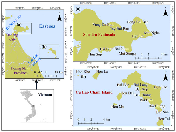 Location of study area (A) Son Tra Peninsula (ST) and (B) Cu Lao Cham Island (CLC).