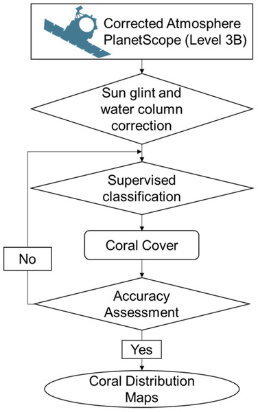 Flowchart of coral distribution mapping in the study area.