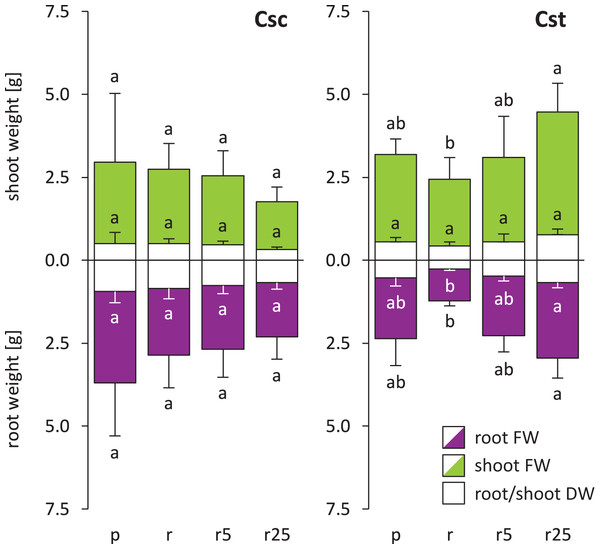 Growth of the studied species of Centaurea (measured as fresh weight – FW and dry weight – DW) in Podzol (p), Rendzina (r) or Rendzina with addition of 5 (r5) or 25 μmol Fe-HBED kg−1 soil (r25).