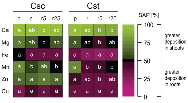 Heatmap of element partitioning measured as shoot allocation percentage (SAP) in the studied species of Centaurea grown on Podzol (p), Rendzina (r) or Rendzina with addition of 5 (r5) or 25 μmol Fe-HBED kg−1 soil (r25).