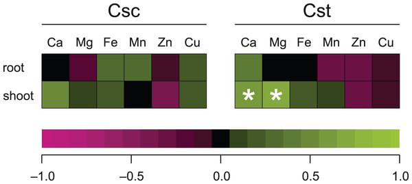 Spearman’s rank correlation between dose of chelated Fe (0, 5 and 25 μmol Fe-HBED kg−1 soil) and content of the analysed elements in roots and shoots of the studied species of Centaurea grown on Rendzina.