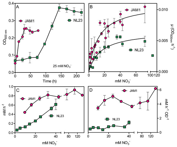 Growth and NO
                        
                        ${}_{3}^{-}$
                        
                           
                              
                              
                                 3
                              
                              
                                 −
                              
                           
                        
                      reduction in planktonic mono-cultures.
