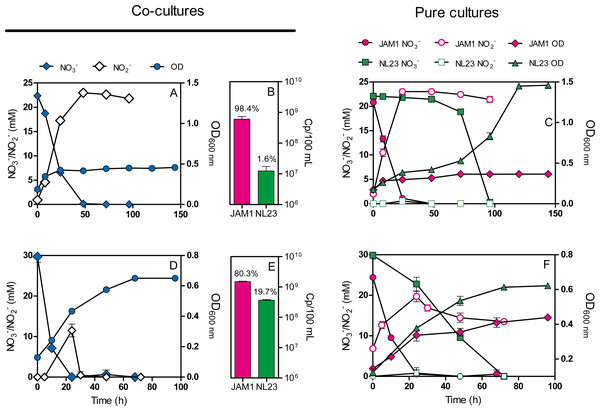 Dynamics of denitrification of the planktonic co-cultures.
