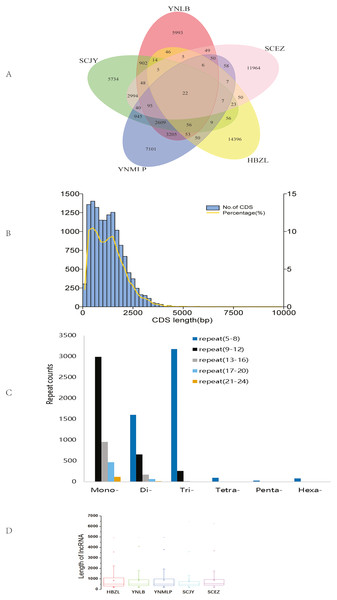 Dissection of full-length transcriptome and metabolome of 