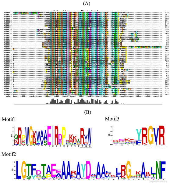 Multiple sequence alignment of the JrERFs proteins.