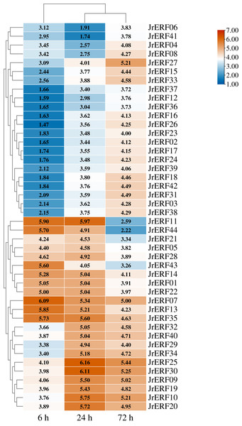 The relative expression of the 44 JrERFs under PEG6000+ETH stress.