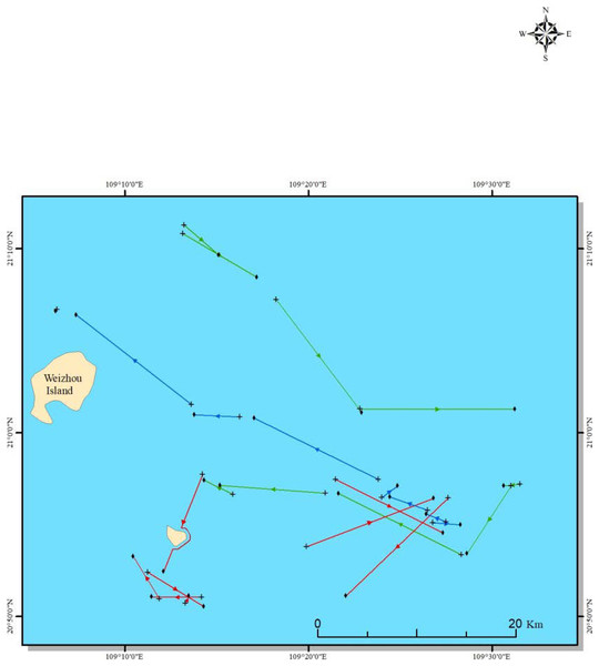 Location of experimental fishing: the colorful lines represent hauling lines.