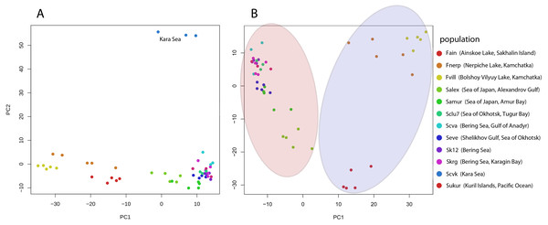 Genetic diversity between Pacific herring populations.