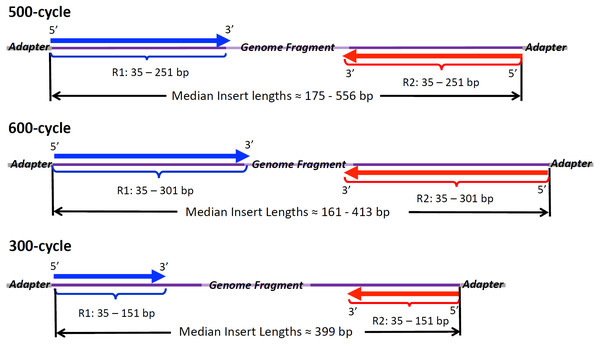 Illumina Read Chemistries Used in the Study.