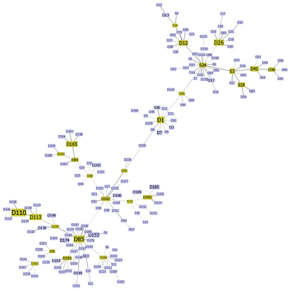 Diversity illustration of SARS-CoV-2 in Malaysia generated in Minimum Spanning Tree (MST).