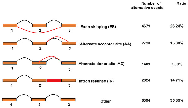 Classification of alternative splicing events.