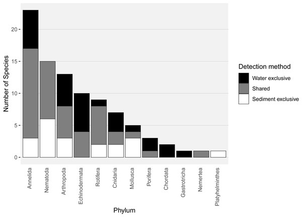 Number of species per metazoan phylum detected exclusively with water eDNA, sediment, or with both methods.
