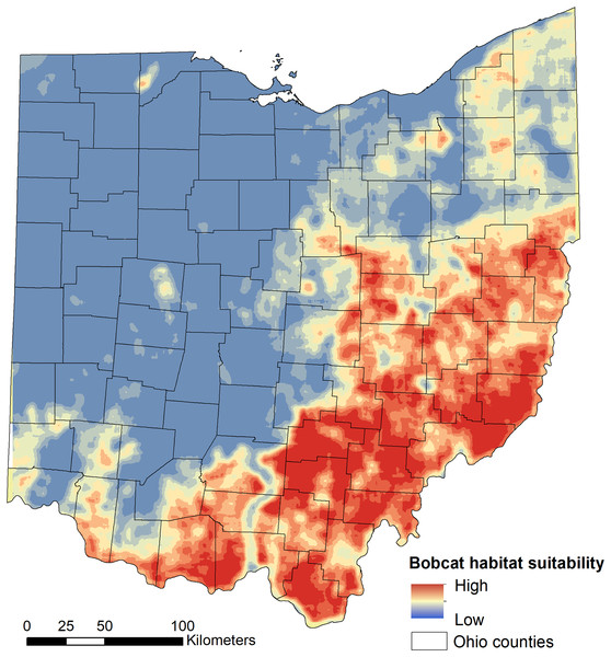 Model-averaged predictions of population-level bobcat habitat selection (suitability).