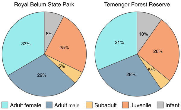 Age-sex structure of Macaca nemestrina in the Belum-Temengor Forest Complex.