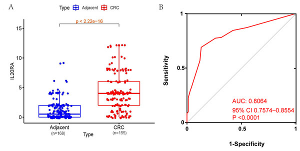 IL20RA protein expression in CRC tissues compares with adjacent normal tissues and its diagnostic value.