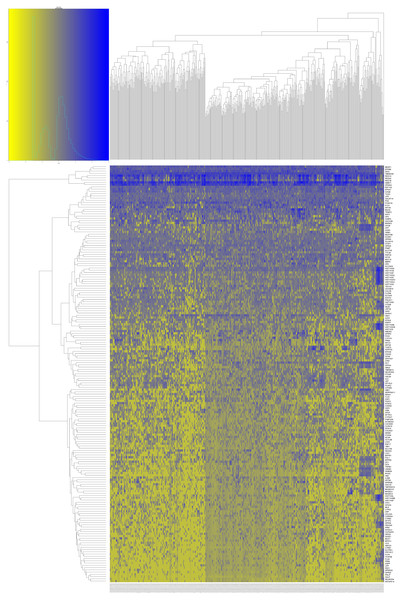 Heatmap of the DEGs related to IL20RA expression of CRC patients in TCGA.