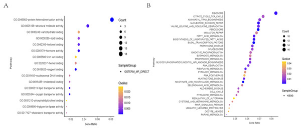 GO and KEGG analysis of DEGs associated with differential expression of IL20RA.