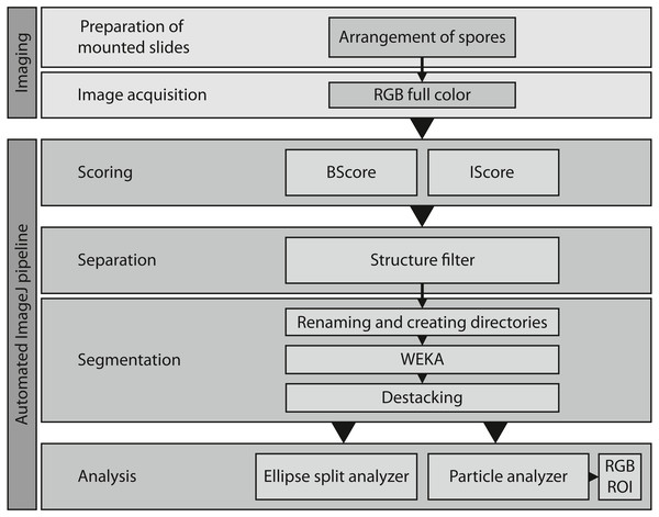 Overview of the entire workflow from sample preparation to data acquisition.