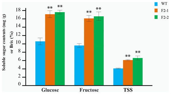 Determination of the soluble sugar and TSS content in red fruit from the WT and the two F2 lines of double homozygous mutants of edited SlINVINH1 and SlVPE5 genes.