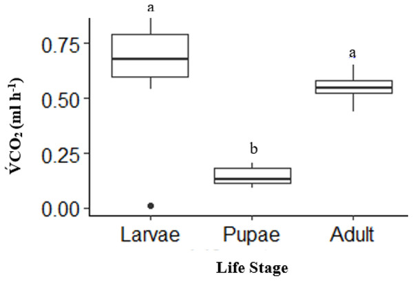 Box plot showing the Total mean V̇CO2 ml h−1 among life stages (larvae, pupae and adult; n = 10 for all stages) of H. punctigera over complete ramping period of about 120 mins from 25 °C to CTmax following thermolimit respirometry.