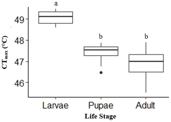 Box plot showing the Mean CTmax identified as the inflection point in the absolute difference sum (ADS) residuals among life stages (larvae, pupae and adult; n = 10 for all stages) of H. punctigera following thermolimit respirometry.