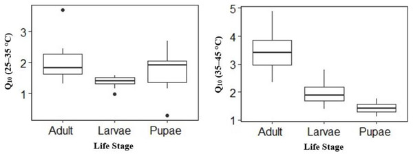 Box plots comparisons of H. punctigera life stages (adult, larvae and pupae; n = 10 for all stages) Q10 (25–35 °C) and Q10 (35–45 °C).