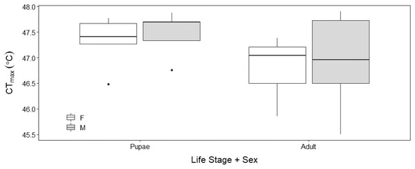 Box plots of upper thermal limit (CTmax) identified as the inflection point in the absolute difference sum (ADS) residuals among Life Stage (pupae and adult) and sex (male–M and female–F) of H. punctigera following thermolimit respirom.