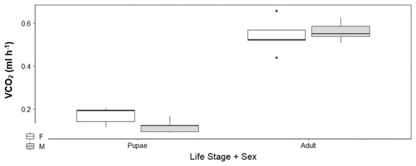 Box plots of V́CO2 ml h−1 among Life Stage (pupae and adult) and sex (male–M and female–F) of H. punctigera over the complete temperature ramping period of about 120 mins from 25 °C to CTmax following thermo.