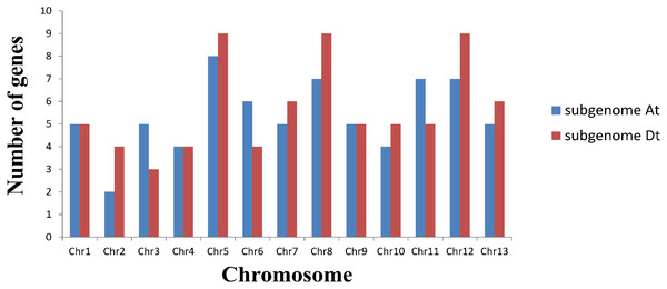 Chromosome distribution statistics of GhGLK genes.