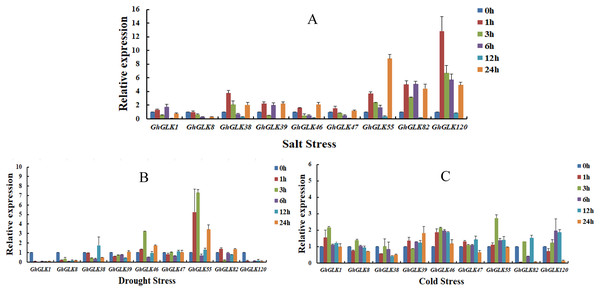 Expression patterns of GhGLK gene family members under cold, drought, and salt stress.