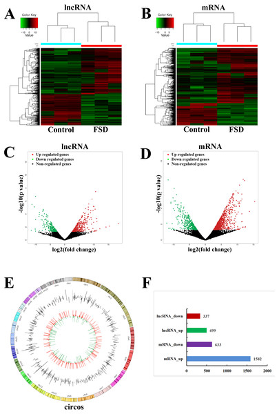 LncRNA and mRNA expression changes profiles in vaginal lubrication disorders (LD).
