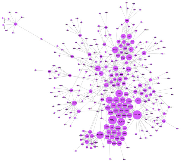 PPI network analysis graph.