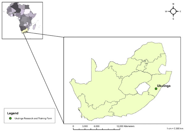 Map showing the study location in the KwaZulu-Natal province of South Africa (Tembe & Mukaratirwa, 2021).