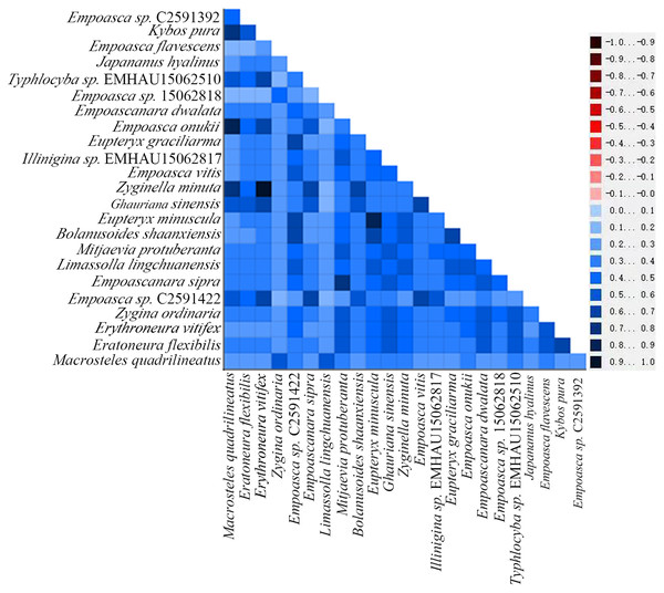 Heterogeneity of 13 protein-coding genes in the mitogenome of Cicadellidae.